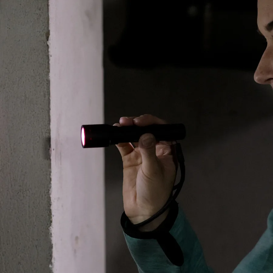 P5R: foto 2